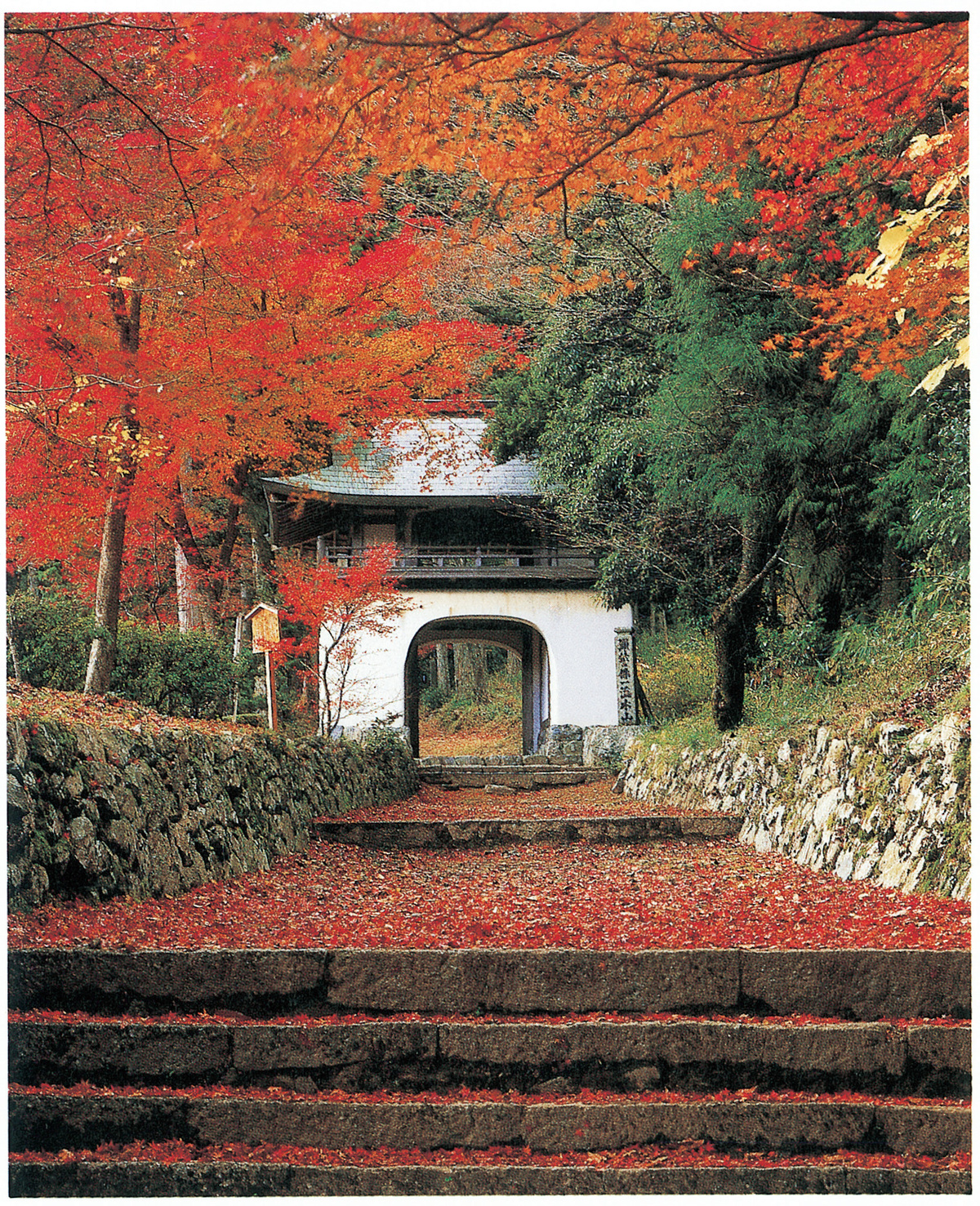 古知谷阿彌陀寺の写真