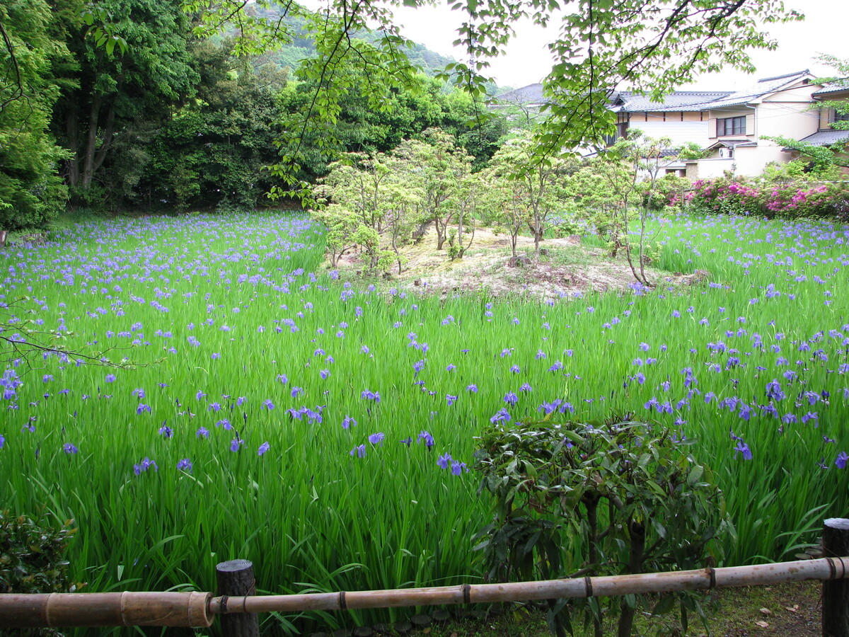 大田神社の写真