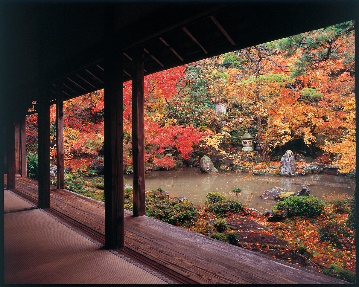 洛北蓮華寺｜観光案内｜京都バス株式会社