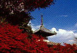 清凉寺（嵯峨釈迦堂）の写真