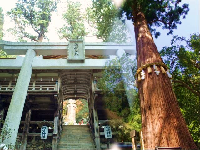 由岐神社の写真