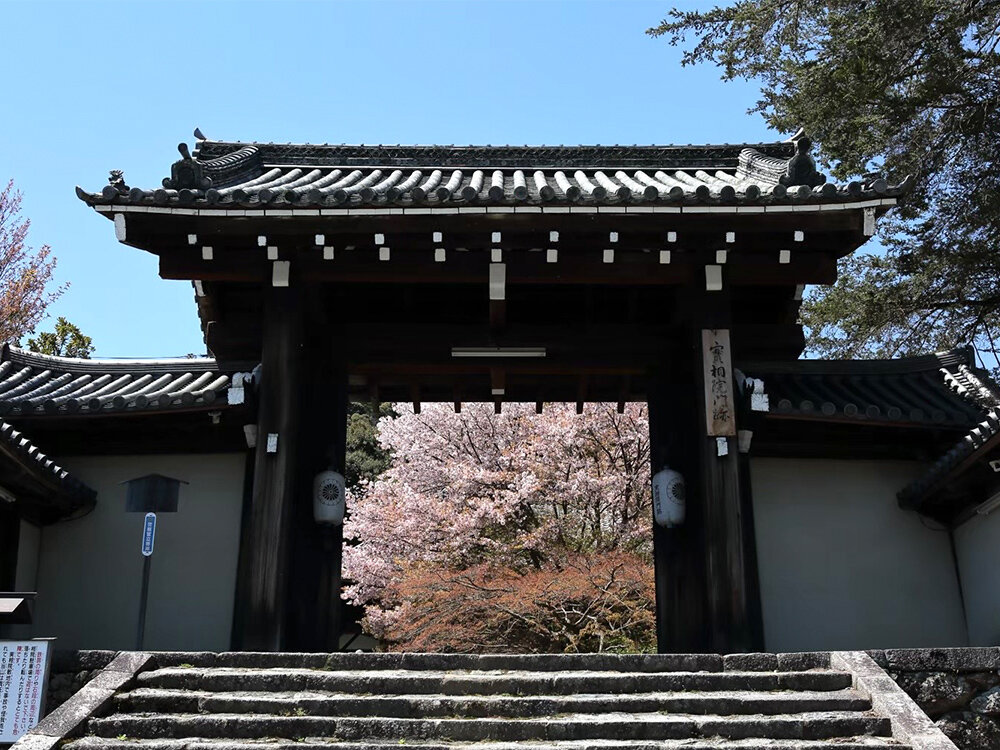 実相院門跡の写真